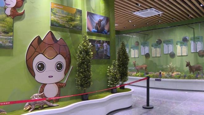 凤凰山省级自然保护区科普馆：“1+2+3”模式赋能 打造特色生态文明教育典范