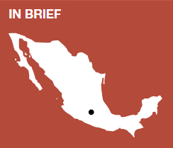 全球遗产保护更新案例集 ③︱砖瓦重生城市重构：墨西哥城政商巨轮重塑世界遗产；阿姆